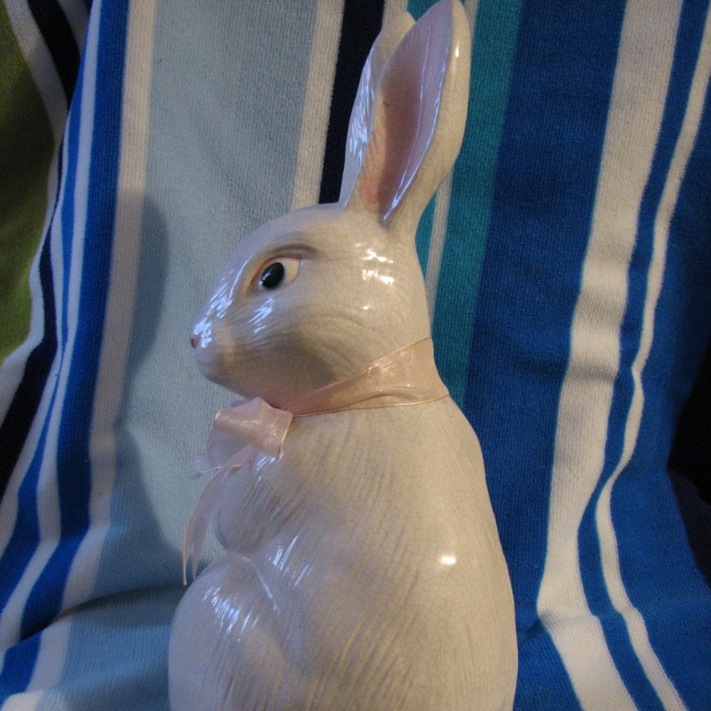 Bunny Rabbit - Picture 2 of 6